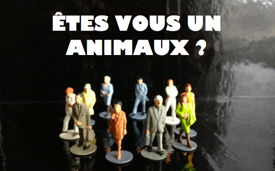 Participez à la nouvelle création!